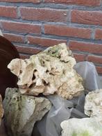 spagetie rotsen, Ophalen, Gebruikt, Plant(en), Steen of Hout