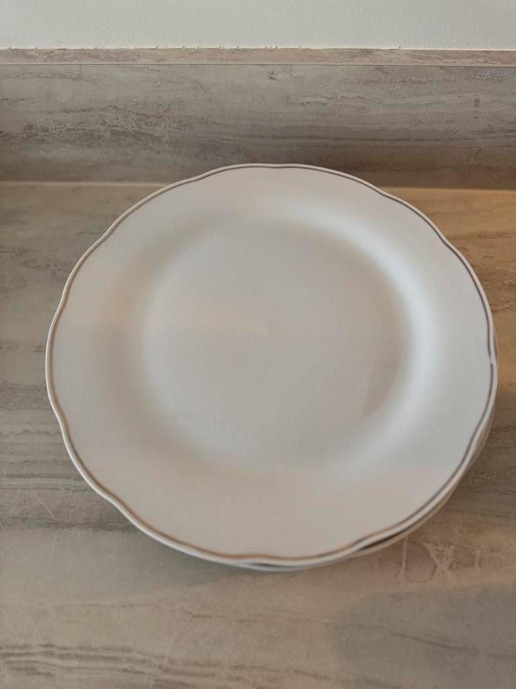 Grote dinerborden 6x, Huis en Inrichting, Keuken | Servies, Zo goed als nieuw, Bord(en), Overige stijlen, Porselein, Ophalen of Verzenden