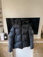Canada Goose cotton puffer jas, Maat 48/50 (M), Ophalen of Verzenden, Zo goed als nieuw, Zwart