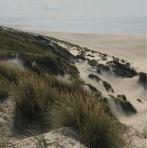 Gezocht: Chalet, stacaravan of standplaats op Terschelling, Huizen en Kamers, Op zoek naar een kamer