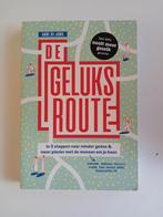 Anne de Jong - De geluksroute, Anne de Jong, Ophalen of Verzenden, Ontwikkelingspsychologie, Zo goed als nieuw