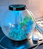 BiOrb, Dieren en Toebehoren, Vissen | Aquaria en Toebehoren, Ophalen, Zo goed als nieuw, Leeg aquarium