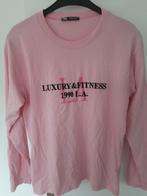 Mooi shirt vd zara en meer maat s v maar 3,50 pst, Kleding | Dames, T-shirts, Zara, Ophalen of Verzenden, Zo goed als nieuw, Lange mouw
