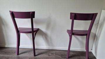 Unieke dressboy  beschikbaar voor biedingen