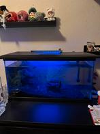 60liter aquarium, Dieren en Toebehoren, Vissen | Aquaria en Toebehoren, Ophalen of Verzenden, Leeg aquarium