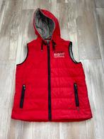 Heren bodywarmer mt XL, Kleding | Heren, Bodywarmers, Zo goed als nieuw, Ophalen