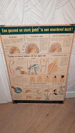 Oud schoolbord 'Een gezond en sterk gebit', Antiek en Kunst, Ophalen of Verzenden, Overige thema's