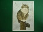(1464) Dierenkaart: POES, Verzamelen, Ansichtkaarten | Dieren, Verzenden, Gelopen, Hond of Kat