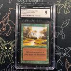 CGC 9 - Alpha Tranquility MTG Magic 1993, Ophalen of Verzenden, Zo goed als nieuw