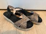 Gratis sandalen Poelman ivm linkerschoen defect, Kleding | Dames, Ophalen, Poelman, Sandalen of Muiltjes, Gedragen