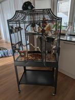 Kooi Montana Madeira I incl. UVB Lamp, Ophalen, Zo goed als nieuw, Metaal, Vogelkooi