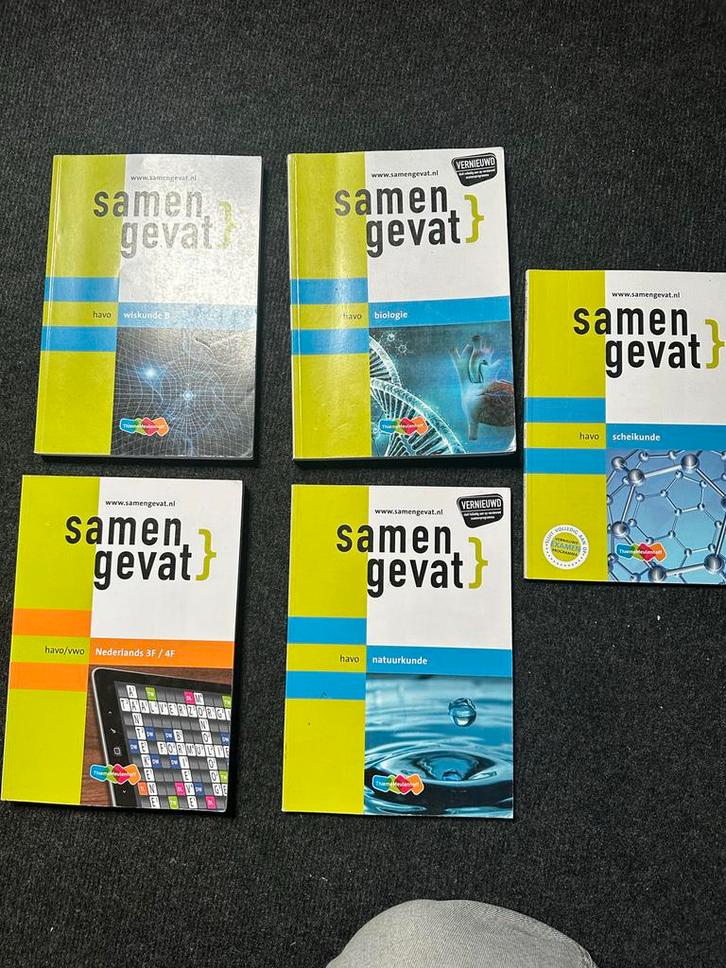Samengevat HAVO 2021-2022 Boeken Bundel, Boeken, Schoolboeken, Zo goed als nieuw, Wiskunde B, HAVO, Ophalen of Verzenden