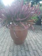 Grote Franse grespot, Antiek en Kunst, Antiek | Keramiek en Aardewerk, Ophalen