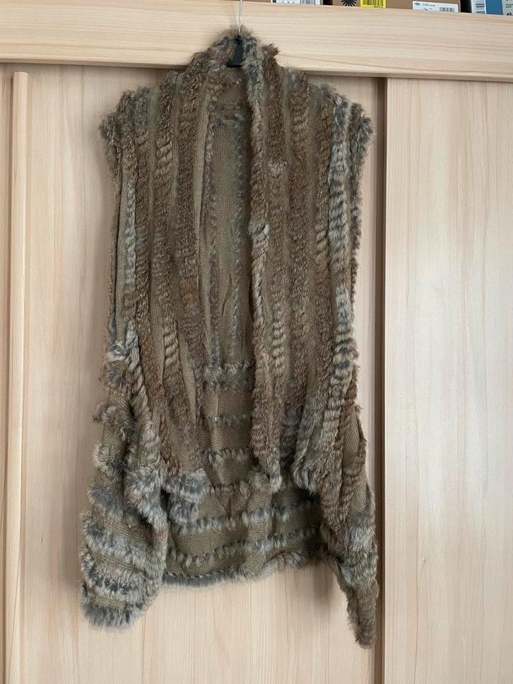Nieuw vest bodywarmer gilet konijnen bont bruin S/M one size, Kleding | Dames, Bodywarmers, Nieuw, Maat 38/40 (M), Bruin, Ophalen of Verzenden