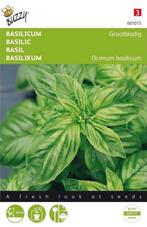 Basilicum zaden, Ophalen of Verzenden, Volle zon