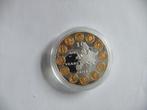 zilverkleurige munt 10 jaar Euro 4cm in doosje, Verzenden, Nederland, Munten