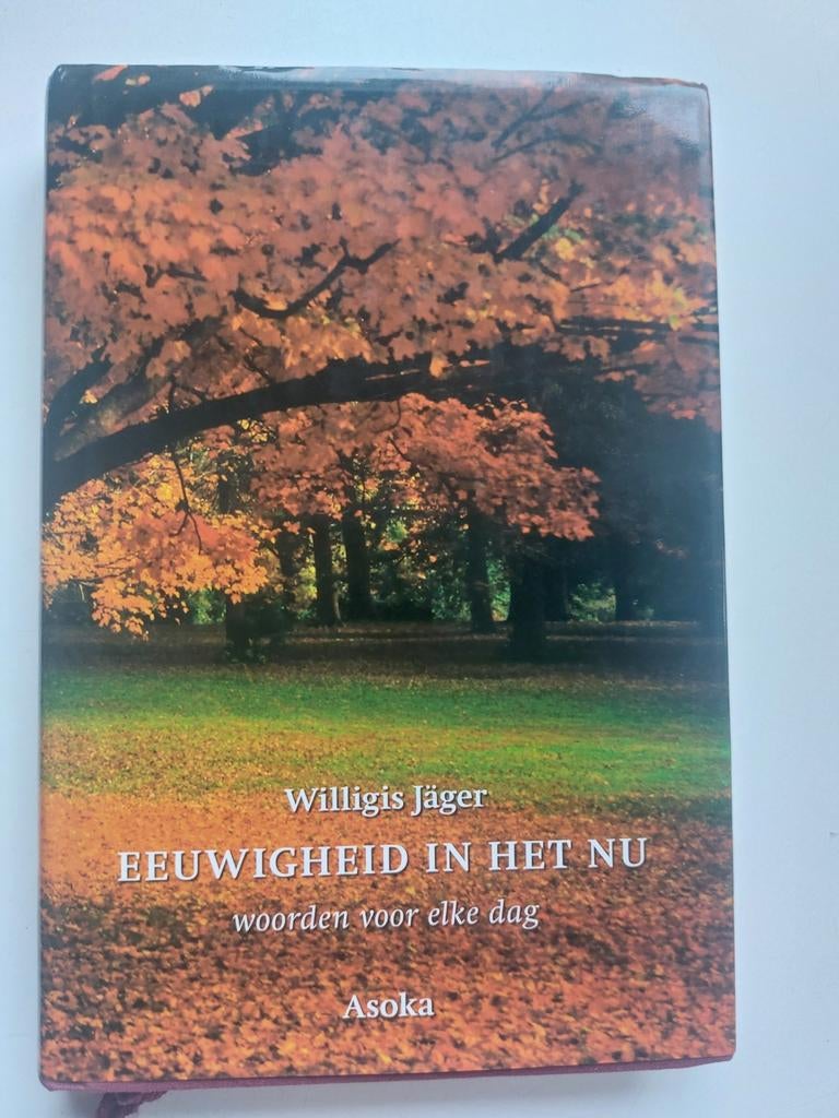 Eeuwigheid in het nu, Boeken, Ophalen of Verzenden, Zo goed als nieuw, Spiritualiteit algemeen, Overige typen