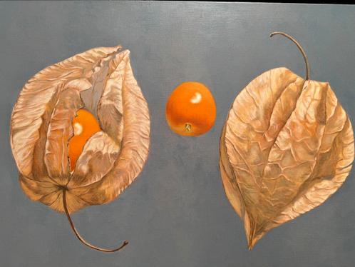 Maarten Welbergen Physalis, Huis en Inrichting, Woonaccessoires | Wanddecoraties, Zo goed als nieuw, Ophalen of Verzenden