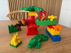 Duplo 2864 (missende tijger), Kinderen en Baby's, Speelgoed | Duplo en Lego, Gebruikt, Ophalen