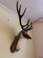 Hertenhoofd knuffel groot, Ophalen, Gebruikt