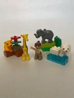 Lego Duplo dierentuin – 4962, Complete set, Duplo, Zo goed als nieuw, Ophalen