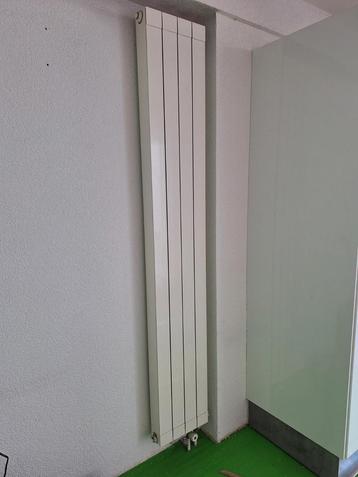 Verticale Radiator  beschikbaar voor biedingen