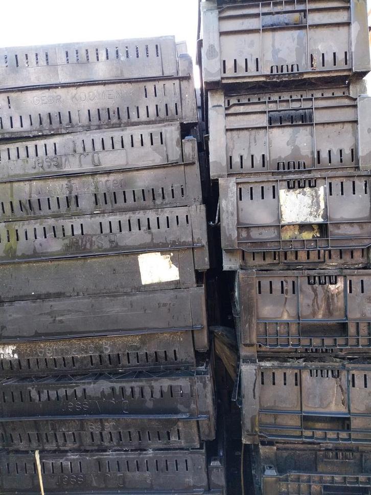 Grote partij kratjes, kisten 40x60x15 cm, Doe-het-zelf en Verbouw, Kratten en Dozen, Gebruikt, Krat, 100 cm of meer, Minder dan 35 cm