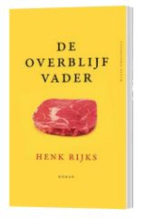 De Overblijf-vader H. Reyks HALVE PRIJS  AANBIEDING!, Boeken, Romans, Nieuw, Nederland, Verzenden