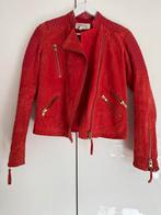 Rode suède lederen biker jacket van Mango, Mango, Ophalen of Verzenden, Jasje, Maat 36 (S)