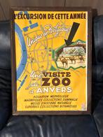 Poster zoo antwerpen jaren 40, Verzamelen, Gebruikt, Ophalen of Verzenden