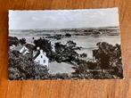 Wageningen. Panorama., Ophalen of Verzenden, 1940 tot 1960, Gelopen, Gelderland