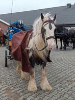 Gezocht zelfstandige ervaren bijrijders in Emst, Dieren en Toebehoren, Paarden en Pony's | Verzorgingsproducten, Ophalen of Verzenden