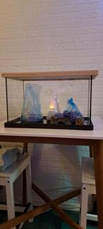 Aquarium 50x30 met 2 zakjes met steentjes, Dieren en Toebehoren, Vissen | Aquaria en Toebehoren, Ophalen, Gebruikt, Leeg aquarium