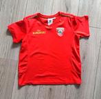 Portugal EK 2020 shirt rood – kind 146/152, Kinderen en Baby's, Kinderkleding | Maat 146, Ophalen of Verzenden, Zo goed als nieuw