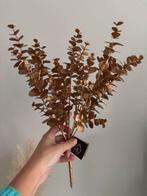 Brons kleurige Eucalyptus Nepbloemen - Herfstdecoratie, Ophalen of Verzenden, Nieuw