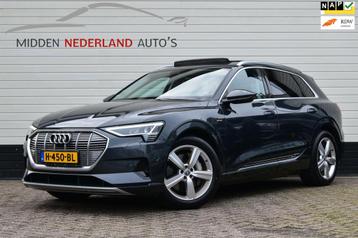 Audi E-tron E-tron 50 quattro Launch edition plus * NIEUWE M beschikbaar voor biedingen