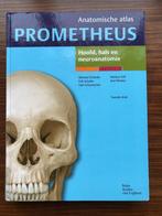 Michael Schünke - Hoofd, hals en neuroanatomie, Boeken, Ophalen of Verzenden, Zo goed als nieuw, Michael Schünke; Erik Schulte; Udo Schumacher
