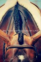 Bijrijder gezocht Nijeveen, Ophalen of Verzenden, Nieuw