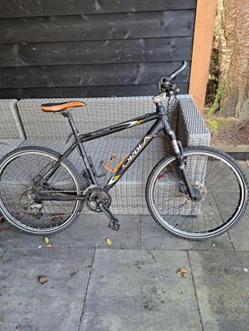 MTB