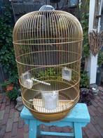 Prachtige ronde goudkleurige vogel kooi is compleet, Dieren en Toebehoren, Ophalen, Zo goed als nieuw, Metaal, Vogelkooi