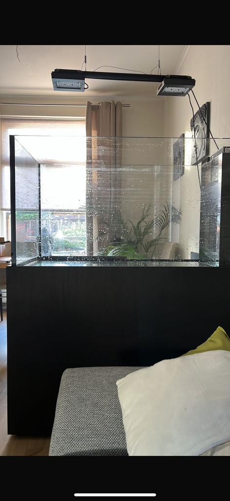 Aqualife peninsula 120x65x65 compleet startklaar., Dieren en Toebehoren, Vissen | Aquaria en Toebehoren, Zo goed als nieuw, Ophalen