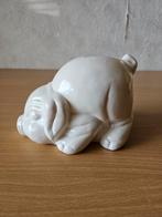 Spaarpot varken wit, Verzamelen, Spaarpotten, Ophalen of Verzenden, Gebruikt, Steen, Aardewerk of Keramiek, Dier