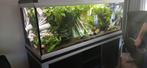 Ferplast aquarium inclusief inrichting vissen en toebehoren, Dieren en Toebehoren, Vissen | Aquaria en Toebehoren, Ophalen, Zo goed als nieuw
