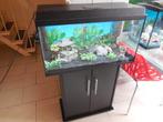 nette complete juwel primolux 80 met toebehoren/inrichting, Ophalen, Gebruikt, Leeg aquarium