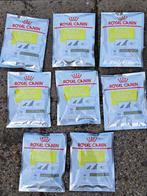 Royal Canin snacks, Dieren en Toebehoren, Dierenvoeding, Verzenden, Hond