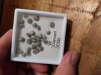 10ct ruwe diamanten, Verzamelen, Mineralen en Fossielen, Ophalen of Verzenden, Mineraal