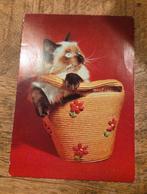 Siamese kitten in rieten tas, Verzenden, 1980 tot heden, Gelopen, Hond of Kat