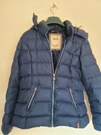 Tommy Hilfiger winterjas maat XL, Kleding | Dames, Tommy Hilfiger, Ophalen of Verzenden, Zo goed als nieuw, Maat 42/44 (L)