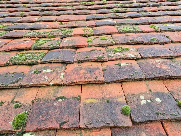 Vintage Franse Dakpannen, Doe-het-zelf en Verbouw, Dakpannen en Dakbedekking, Gebruikt, Dakpannen, Steen of Klei, Rood, 5 tot 10 m²