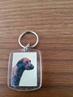 Sleutelhanger 562 Hond Rhodesian Ridgeback, Ophalen of Verzenden, Zo goed als nieuw